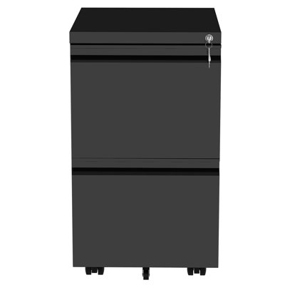 39cm Wide 2 -Drawer Mobile Steel File Cabinet