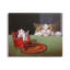 «Stupell Industries», Manx, chat, regarder, souris, art mural par Lucia Heffernan-91315365-91315368