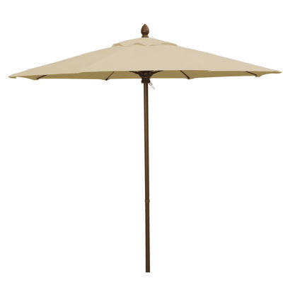 Market Umbrella