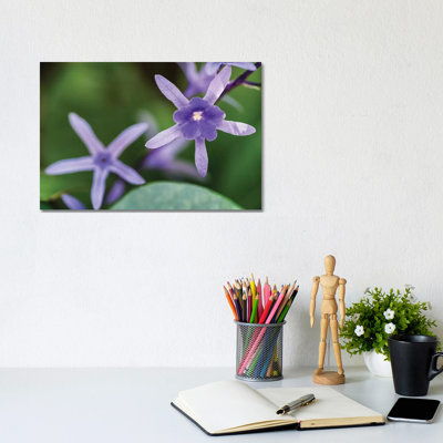 Purple Flower Of A Flower - Wrapped Canvas Print