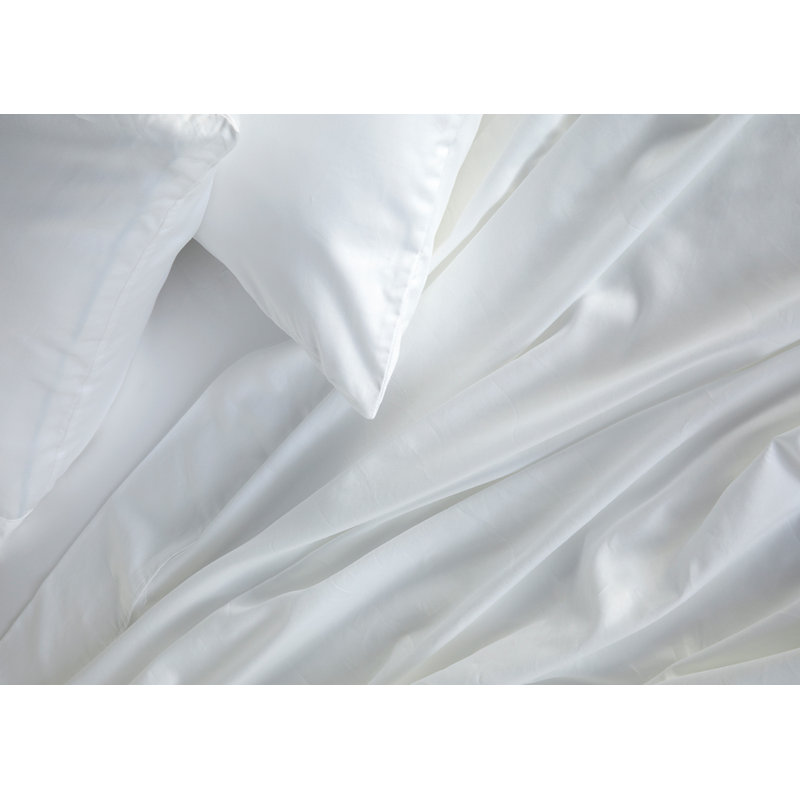 Gray Twin Cotton Solid Sheet Set
