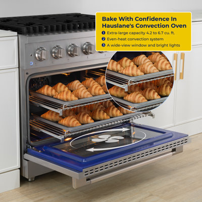 Cuisinière au gaz 48 po Hauslane en acier inoxydable | 8 brûleurs jusqu'à 20 000 Btus | Four à convection double de 6,7 pieds cubes avec 5 positions de cuisson | N / L convertible | Porte triple couche Cool-Touch or rose