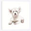 «West Highland White Terrier Puppy», reproduction sur toile tendue-31882393-73277241-73277246
