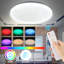 1-Light Flush Mount