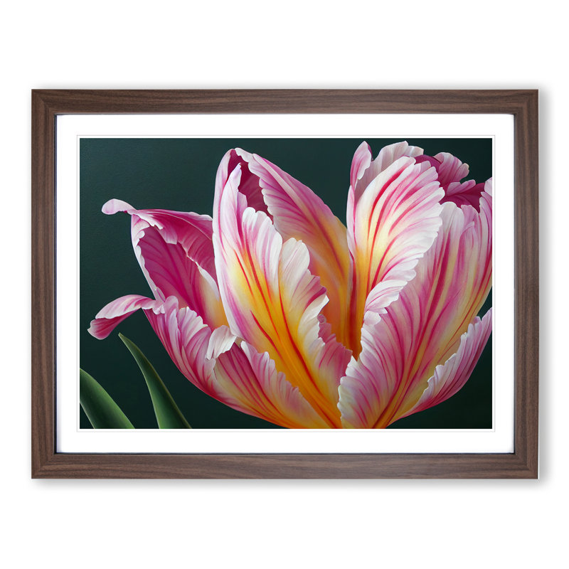 Heavenly Flower - Single Picture Frame Print, 34cm H x 46cm W x 2cm D, Walnut