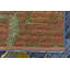 Tapis intérieur / extérieur bleu Newt-23394185
