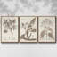 Antique Almond Botanical II - Ensemble de 3 reproductions de photos sur toile-97760020-97760024