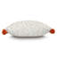 Wilder Lumbar Pillow Cover & Insert