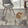 Westford Abstract Area Rug