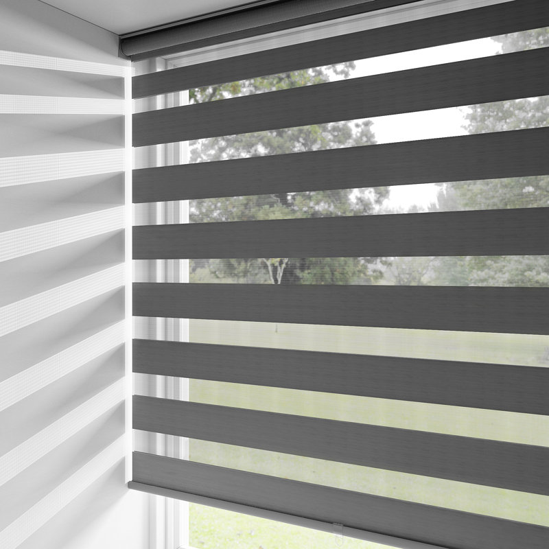 Store à enroulement semi-transparent Zebra, Gris, L 68 po x L 91 po