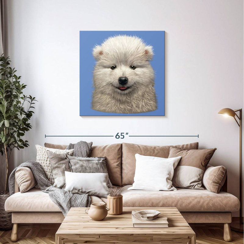 Brampt Samoyed Puppy