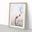 Three Birds on a Branch by Hishida Shunso - Picture Frame Painting Print-55610979-55610982