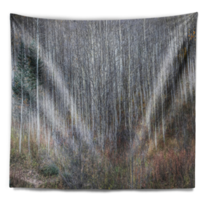 Tapisserie Maroon Bells Mountain View, H 50 po x l 60 po