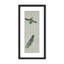Nature Inspired "Vivid Flutter" Canvas Wall Art By -417407279-417423050-423896719