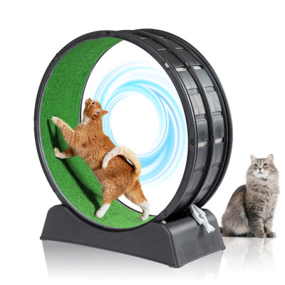 31'' WX 41''H Plastic Cat Treadmill Wheel Exerciser With Carpeted Runway