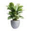 Pot à fleur Dorlis Fiberstone-881441047-809609163