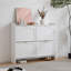 Shoe Storage