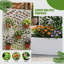 Boîte à fleurs en métal galvanisé avec treillis Eddison-1412848773-1436521235-1439711548