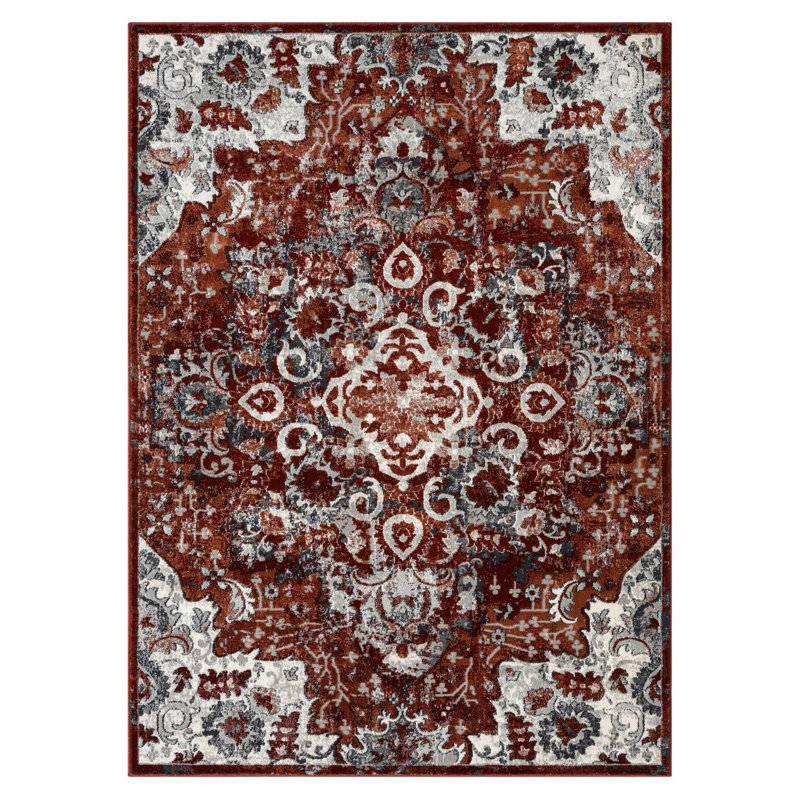 Rany Oriental Indoor Rug, Rectangle 5' x 7'