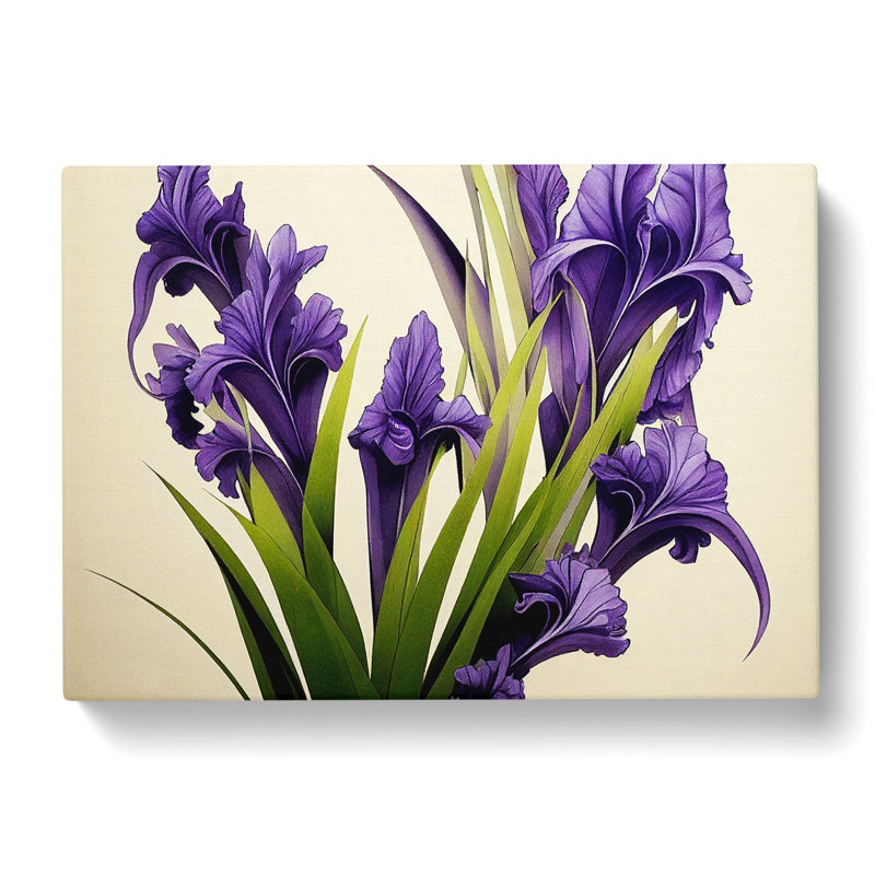 Boundless Iris Flowers - Wrapped Canvas Painting, 35cm H x 50cm W x 3cm D