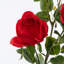 Pulvérisateur de rose artificiel-1476164142