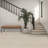 Daltile Sand and Stone 24 x 48 Floor Tile (2 PC Per Carton) (15.54 SQFT Per Carton)-125613224