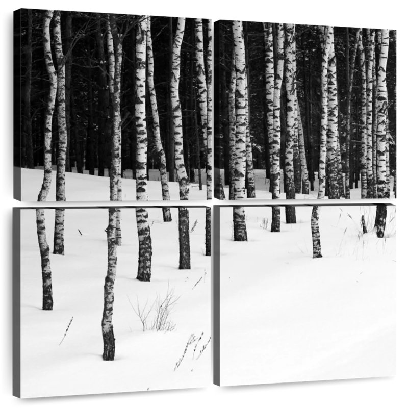 Harnek Birch In Snow, 18'' H x 18'' W