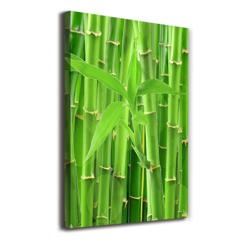 Bamboo Forest - Wrapped Canvas Print