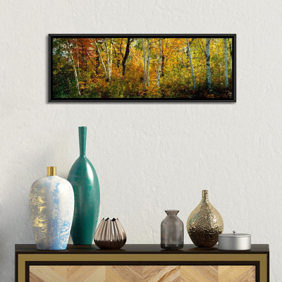«lac du flambeau wisconsin', reproduction de photo sur toile
