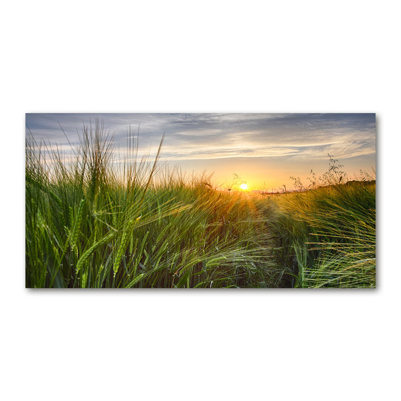 Wheat Field - Wrapped Canvas Print