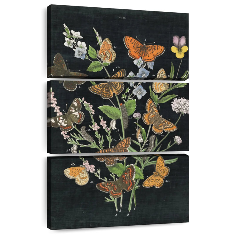 Brampt Butterfly Bouquet On Black I, 32" H x 20" W
