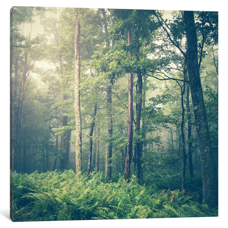 Inner Peace by Olivia Joy StClaire - Wrapped Canvas Print, 45.72 cm H x 45.72 cm W x 1.91 cm D