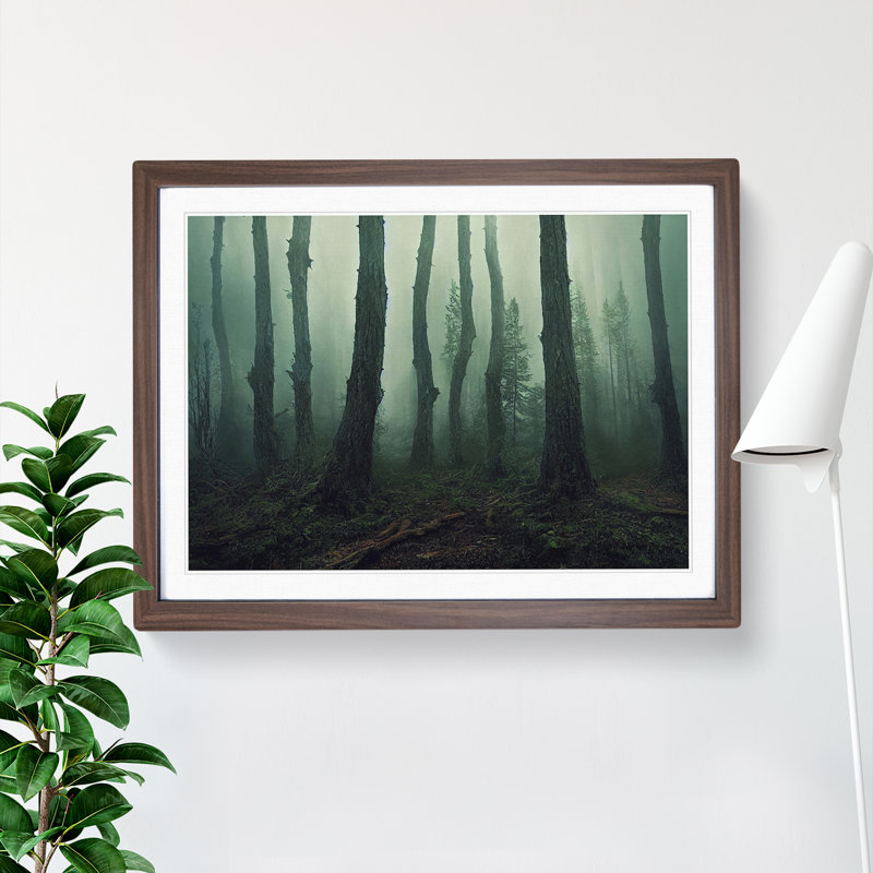 Forest Mist Vol.3 - Single Picture Frame Painting, 46cm H x 64cm W x 2cm D, Walnut