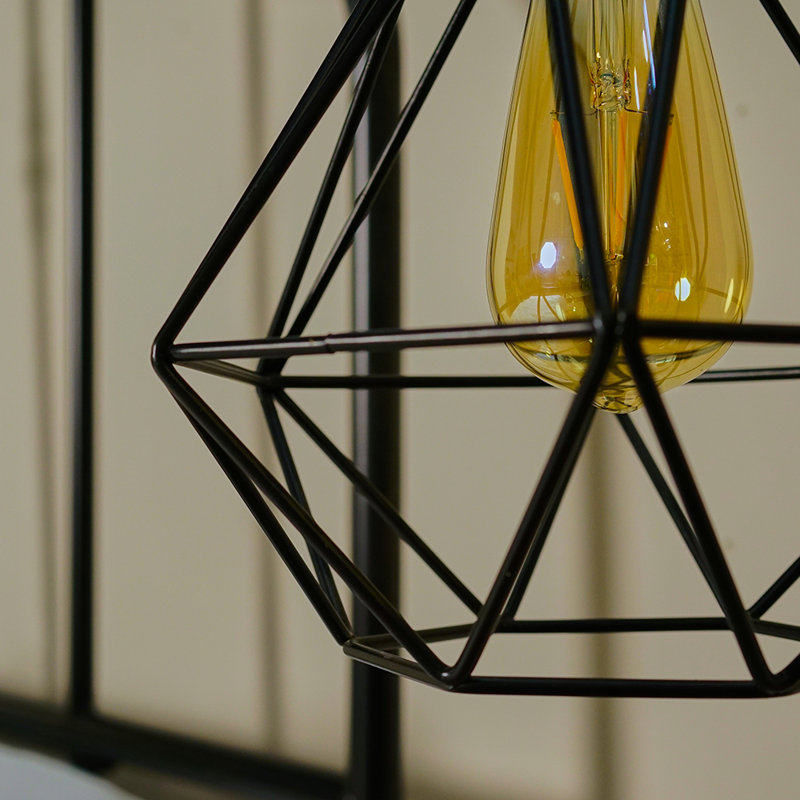 Carnegie 20cm H Metal Novelty Pendant Shade ( Spider ), Black