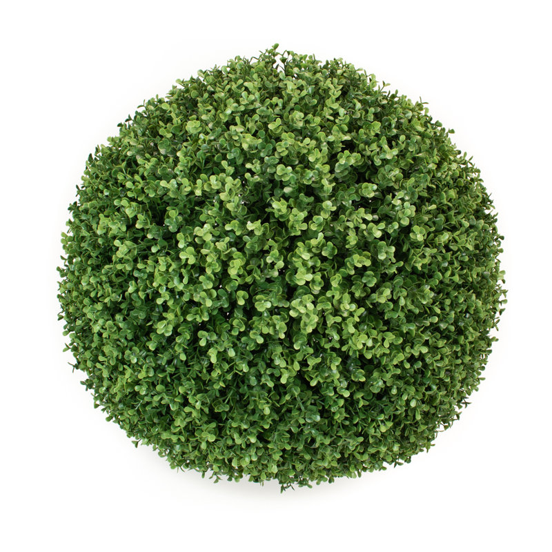 Topiaire buis floor, H 21,5 po x l 21,5 po x P 21,5 po
