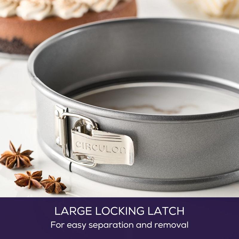 Gray Non-stick 9.5-inch Aluminum Springform Pan