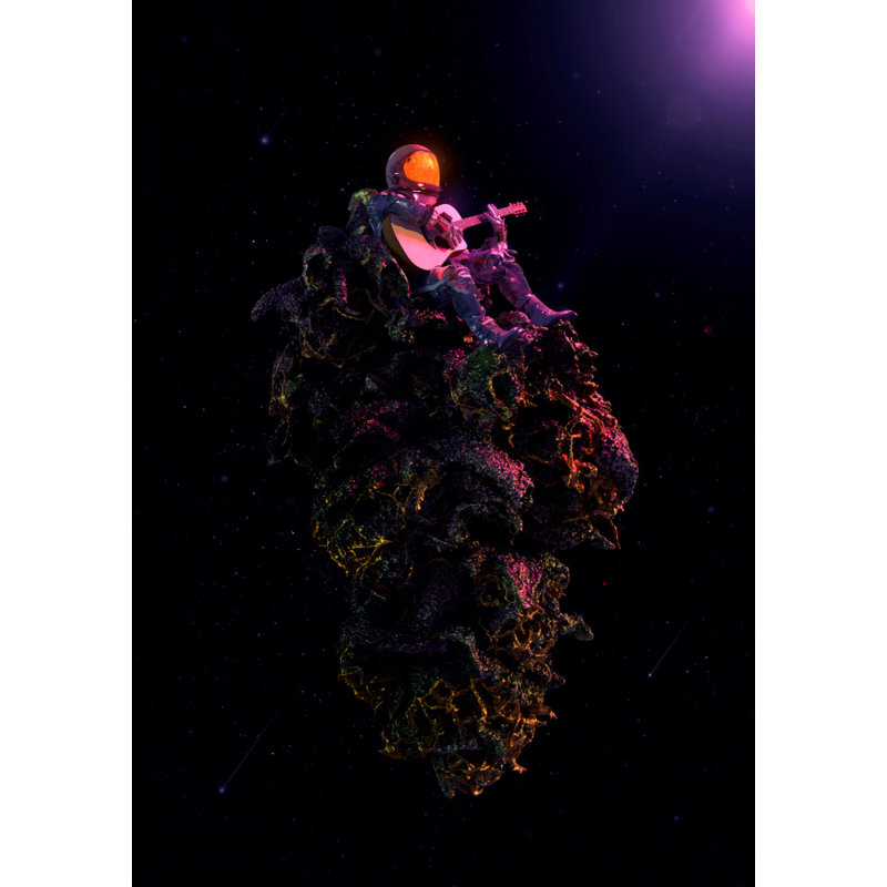 Wrapped Canvas Print, 50.8 cm H x 76.2 cm W