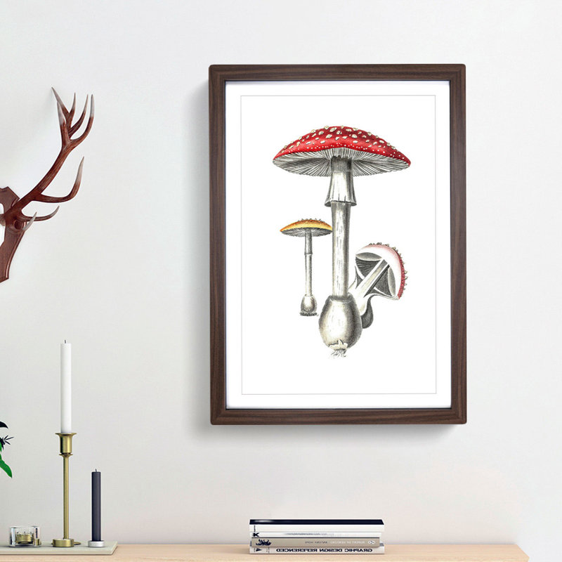 Amanita Muscaria Mushroom Illustration - Single Picture Frame Painting, Walnut Framed, 45cm H x 33cm W x 2cm D