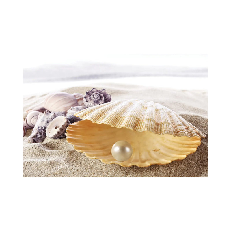 Shell With A Pearl by Depositphotos - Wrapped Canvas Gallery-Wrapped Canvas Giclée