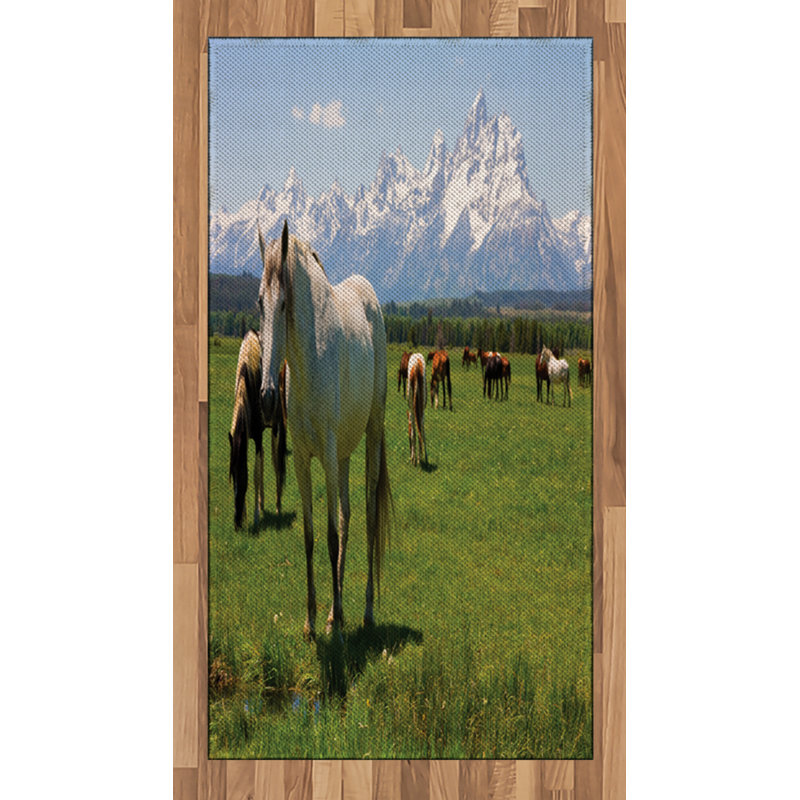 National Parks High Density Long Fiber Poly Threads Decorative Area Rug Carpet, Rectangle 2'7" x 5'