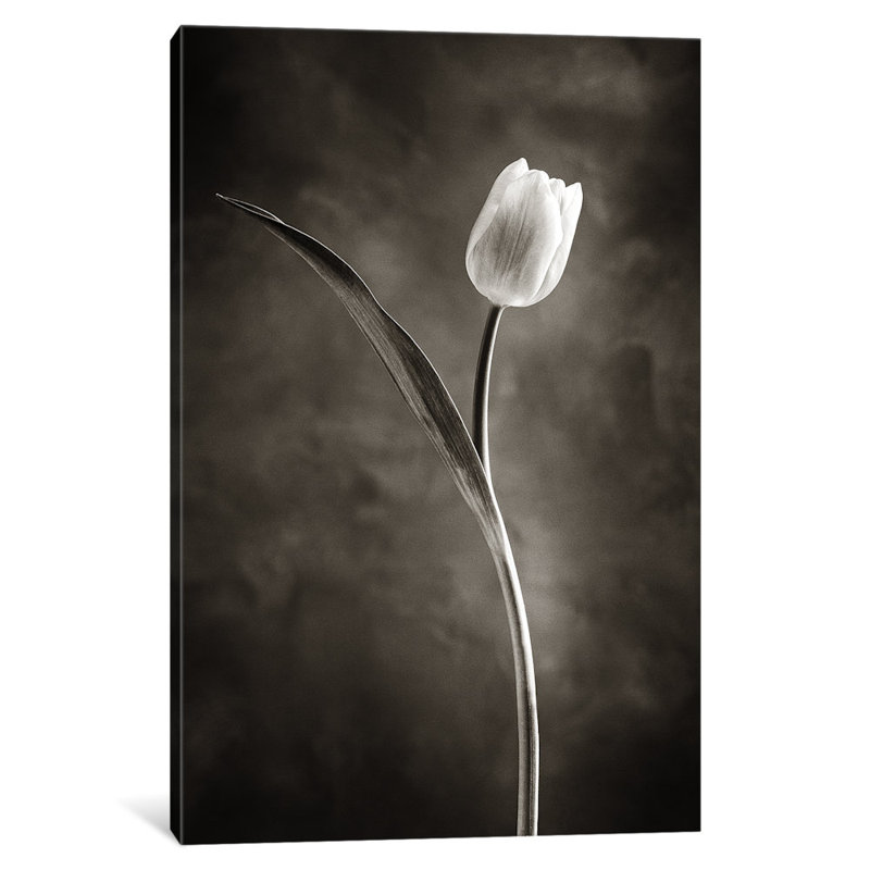 Debra Van Swearingen - Print, 18" H x 12" W x 1.5" D, No Mat, Wrapped Canvas