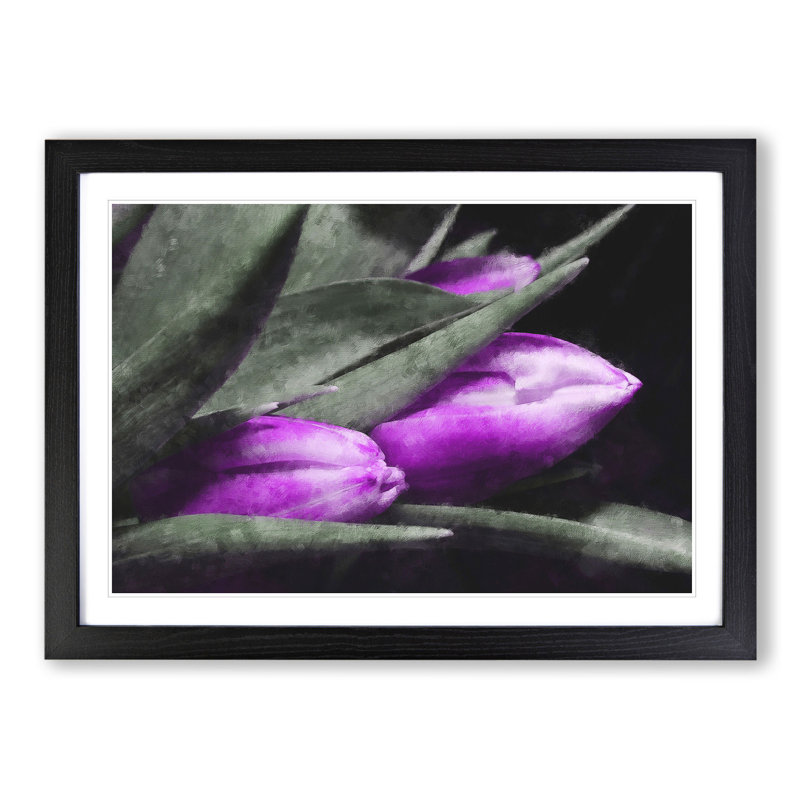 Purple Tulip Flowers Vol.1 - Framed Print, 36cm H x 48cm W x 2cm D, Black Framed
