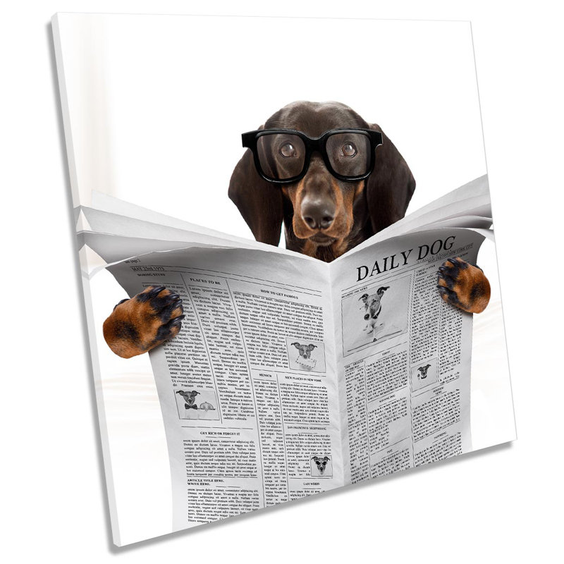 Z5815 Dachshund Sausage Dog Newspaper Picture - Wrapped Canvas Print, 60cm H x 60cm W x 2cm D