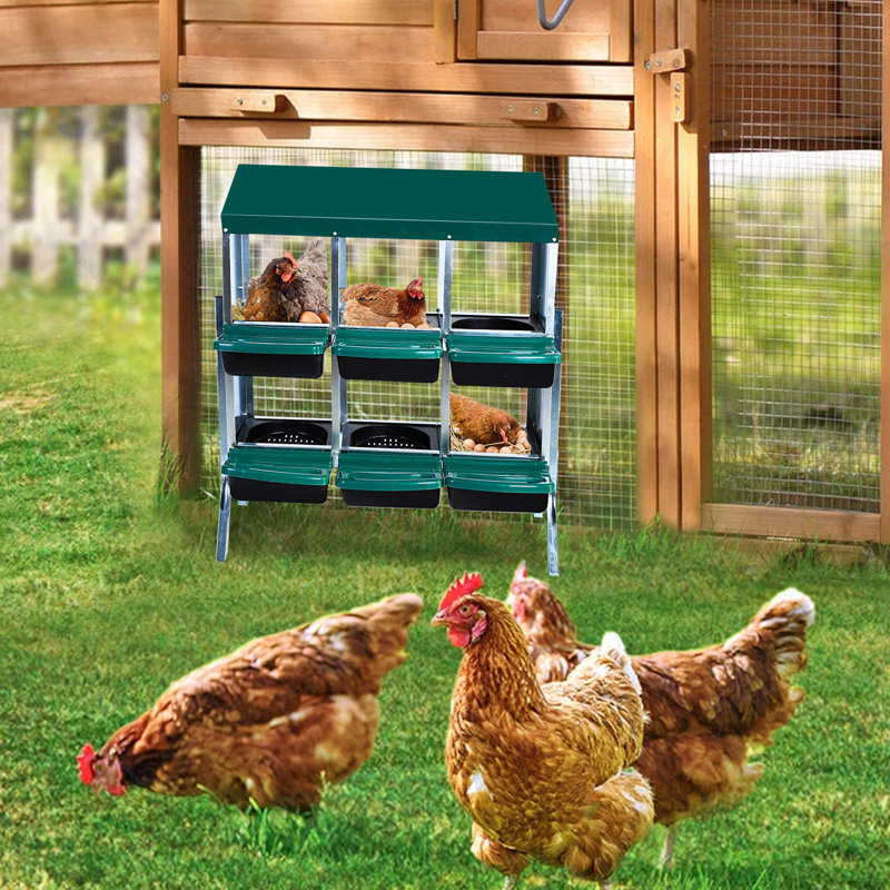 Nichoirs pour poules, poulaillers pour 6 poules pondeuses, 6 compartiments, poules pondeuses, nichoirs avec pieds, cage en acier galvanisé à 6 trous pour poules, vert