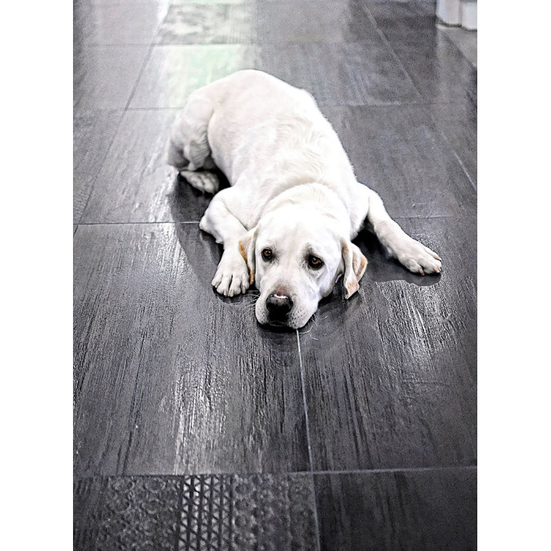 Carreau de porcelaine aspect bois 18 po x 36 po Aragon