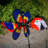 Pivoting Parrot Bird Spinner