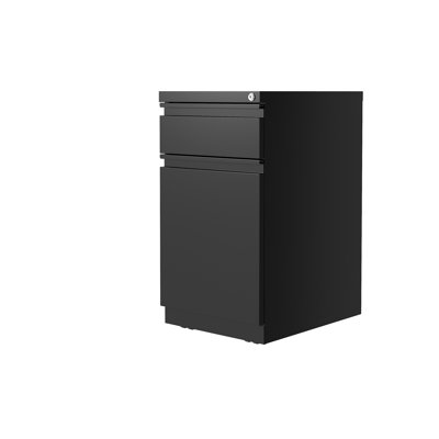 Emyr 2 Drawer Mobile Vertical Filing Cabinet by Inbox Zero