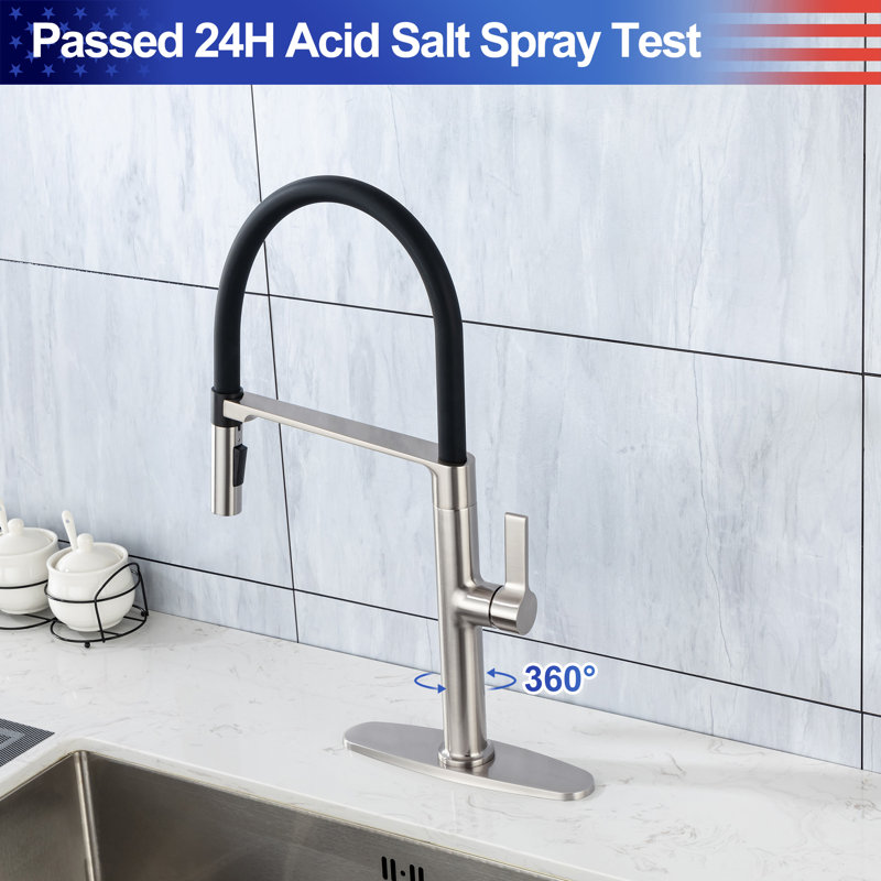 Rainlex Pull Out Kitchen Faucet, Brushed Nickel