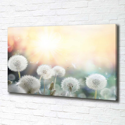 A Field Of Dmuchawy - Wrapped Canvas Print