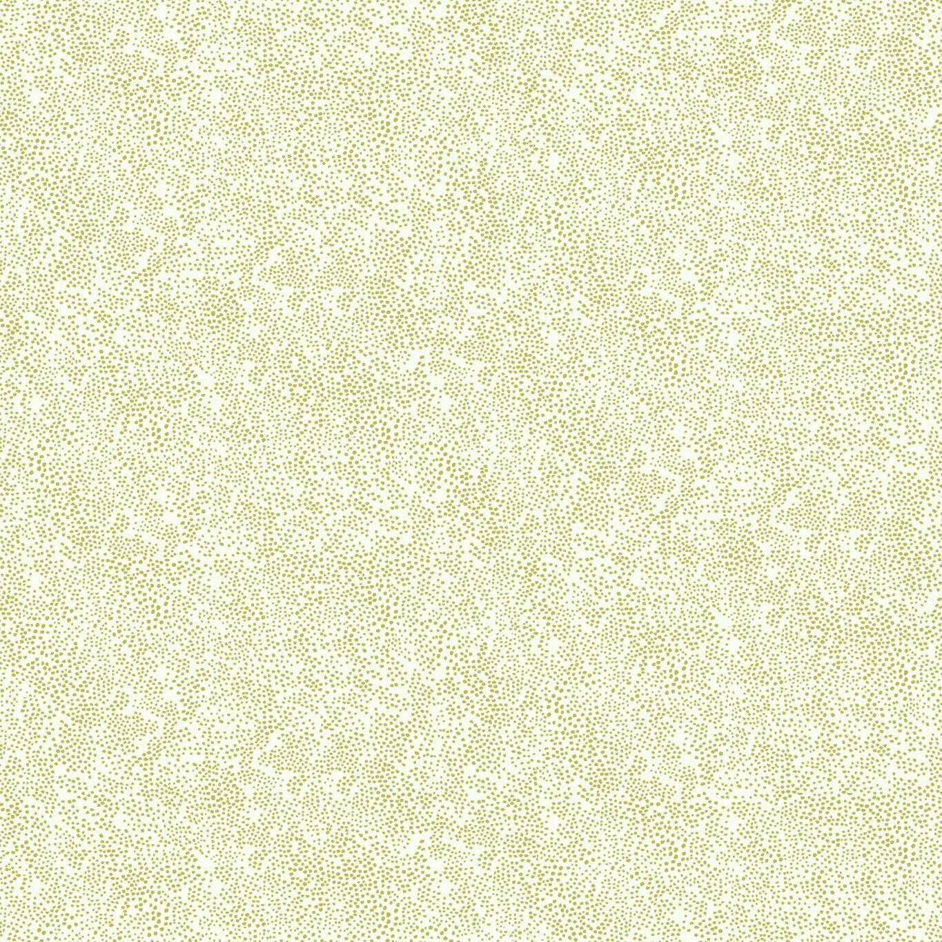 Champagne Dots Wallpaper Roll, Gold/White
